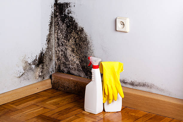 Sewage cleanup and water damage restoration in East Flat Rock, NC